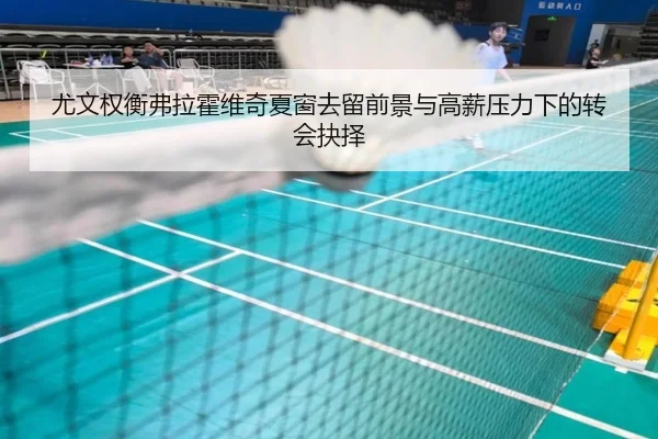 尤文权衡弗拉霍维奇夏窗去留前景与高薪压力下的转会抉择